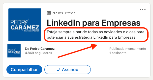 Dicas para criar uma Newsletter no LinkedIn - Linked2Power - Pedro Caramez - 2
